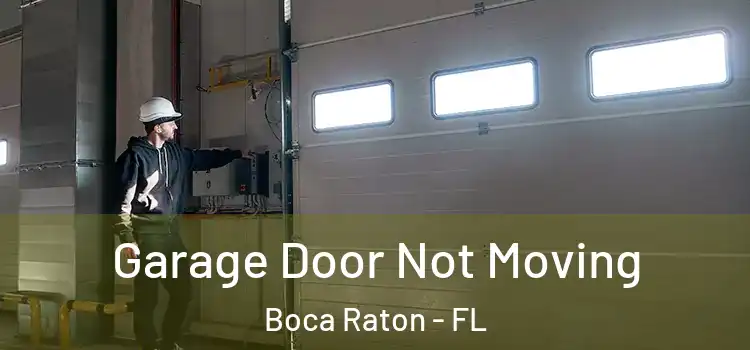  Garage Door Not Moving Boca Raton - FL